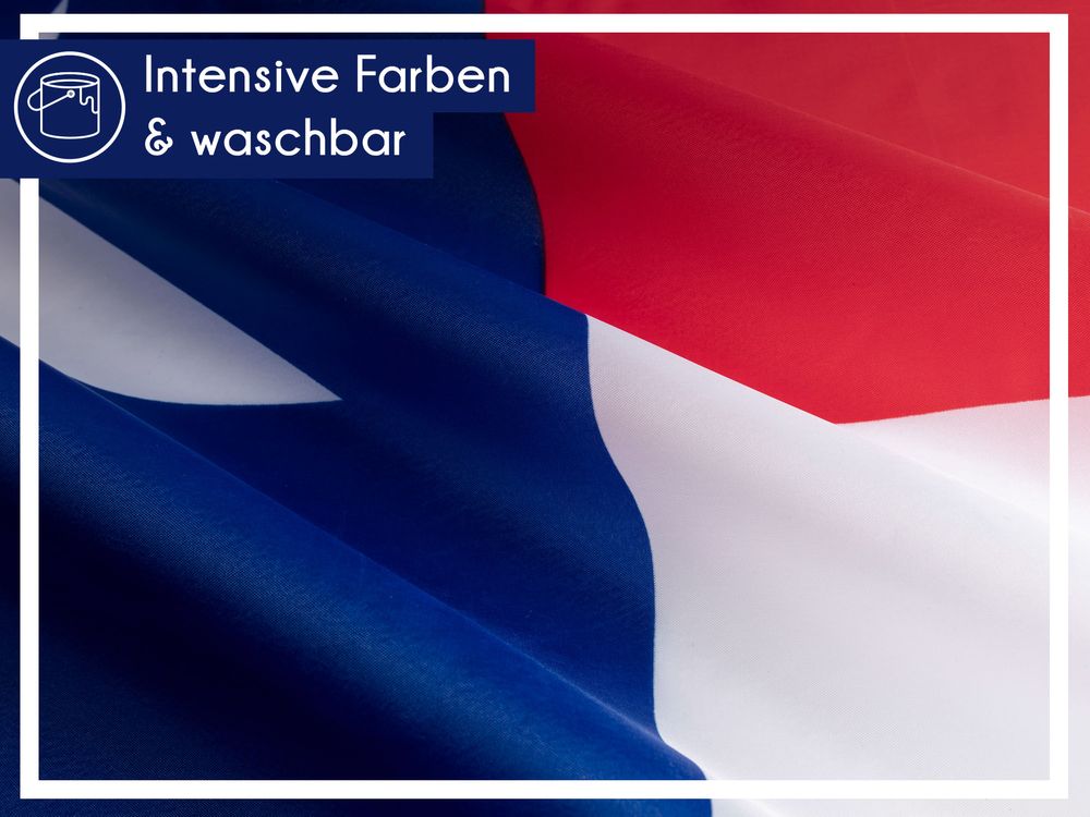 Bandierine Del Texas In Poliestere - 2 Confezioni Da 20 Bandiere - 9 Metri Per Decorazioni - 4