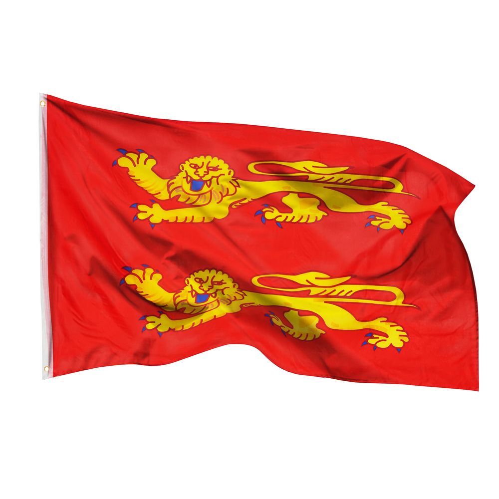 PHENO FLAGS Bandiera Finlandia 90x150cm – finlandese – resistente alle intemperie con occhielli in ottone - 100% poliestere - cuciture doppie robuste e colori vivaci – per gli amanti delle bandiere